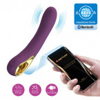 Vibratore Ethan Vibe Viola Ricaricabile USB con APP 20x3,5 cm