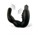 Vibratore Prostatico Alpertins 11 x 3,2 cm