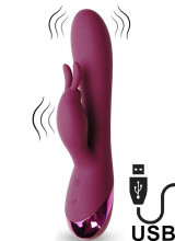 Vibratore Rabbit con Stimolatore Clitoride BROLE Rosso USB 18,5 cm