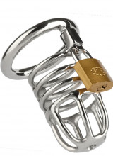 Cintura di Castita per Uomo in Acciaio Inox Mr. Steel Master Chastity