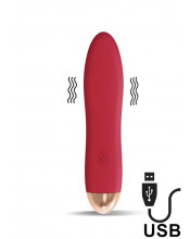 Vibratore Dawel in Silicone 11,5 x 3 cm Ricaricabile con USB Rosso